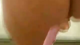 ٹیٹو برونیٹ کرسٹی می ...