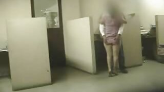 میسی سلٹ میا لیلانی  ...