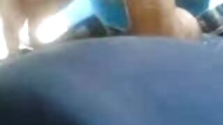 بینڈلیٹ میں گرم سیاہ ...